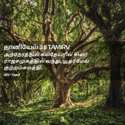 Picture 02 - தானியேல் 3:8 TAMIRV - அந்நேரத்தில் - Bible Verse Picture