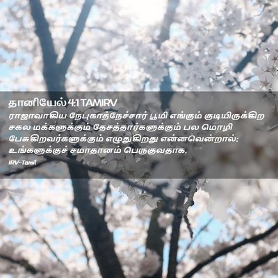 Picture 02 - தானியேல் 4:1 TAMIRV - ராஜாவாகிய - Bible Verse Picture