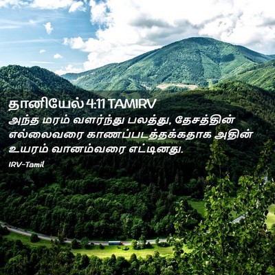 Picture 02 - தானியேல் 4:11 TAMIRV - அந்த மரம் - Bible Verse Picture