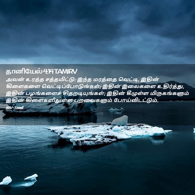 Picture 02 - தானியேல் 4:14 TAMIRV - அவன் உரத்த - Bible Verse Picture