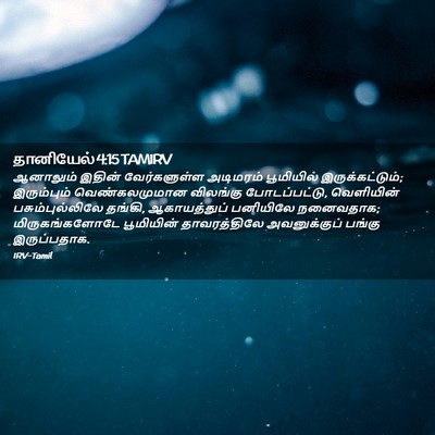 Picture 02 - தானியேல் 4:15 TAMIRV - ஆனாலும் இதின் - Bible Verse Picture