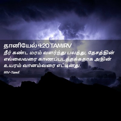 Picture 02 - தானியேல் 4:20 TAMIRV - நீர் கண்ட மரம் - Bible Verse Picture