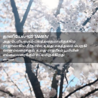 Picture 02 - தானியேல் 4:22 TAMIRV - அது பெரியவரும் - Bible Verse Picture