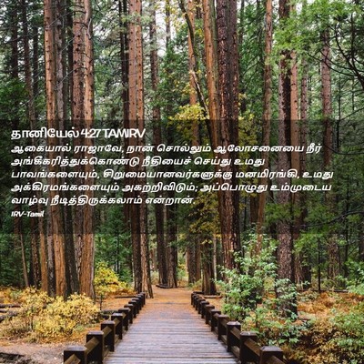 Picture 02 - தானியேல் 4:27 TAMIRV - ஆகையால் ராஜாவே, - Bible Verse Picture