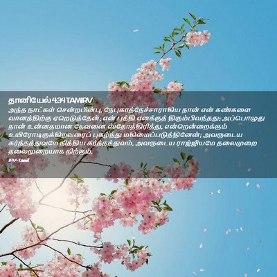 Picture 02 - தானியேல் 4:34 TAMIRV - அந்த நாட்கள் - Bible Verse Picture