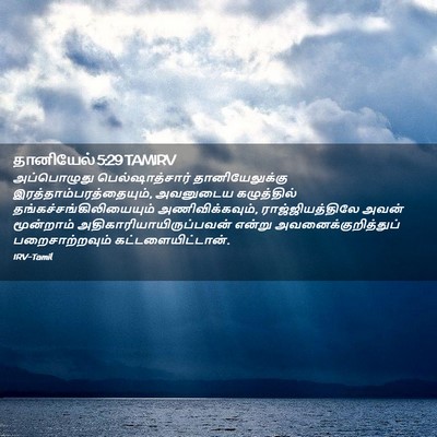 Picture 02 - தானியேல் 5:29 TAMIRV - அப்பொழுது - Bible Verse Picture