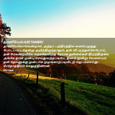 Picture 02 - தானியேல் 6:10 TAMIRV - தானியேலோவென்றால், - Bible Verse Picture
