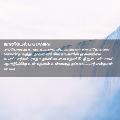 Picture 02 - தானியேல் 6:16 TAMIRV - அப்பொழுது ராஜா - Bible Verse Picture