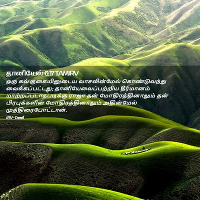 Picture 02 - தானியேல் 6:17 TAMIRV - ஒரு கல் - Bible Verse Picture