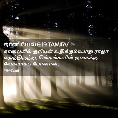 Picture 02 - தானியேல் 6:19 TAMIRV - காலையில் சூரியன் - Bible Verse Picture