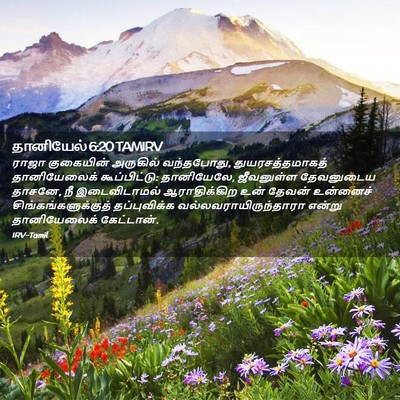 Picture 02 - தானியேல் 6:20 TAMIRV - ராஜா குகையின் - Bible Verse Picture