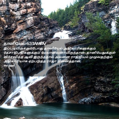 Picture 02 - தானியேல் 6:3 TAMIRV -  - Bible Verse Picture