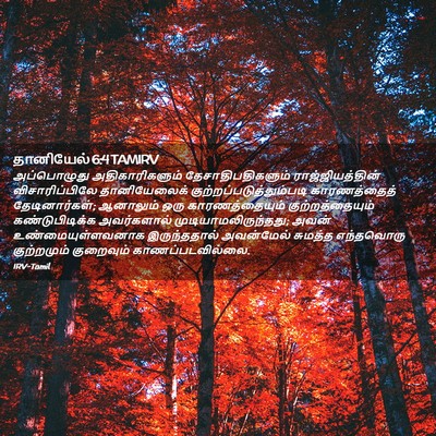 Picture 02 - தானியேல் 6:4 TAMIRV - அப்பொழுது - Bible Verse Picture