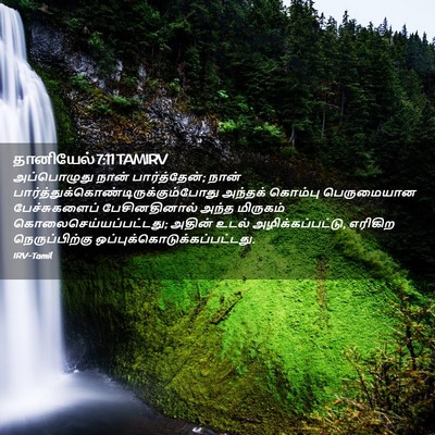 Picture 02 - தானியேல் 7:11 TAMIRV - அப்பொழுது நான் - Bible Verse Picture