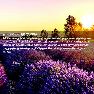 Picture 02 - தானியேல் 7:16 TAMIRV - சிங்காசனத்தின் - Bible Verse Picture