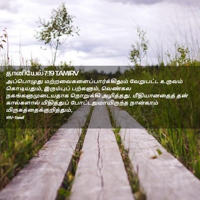 Picture 02 - தானியேல் 7:19 TAMIRV - அப்பொழுது - Bible Verse Picture