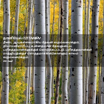 Picture 02 - தானியேல் 7:21 TAMIRV - நீண்ட - Bible Verse Picture