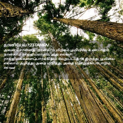 Picture 02 - தானியேல் 7:23 TAMIRV - அவன் சொன்னது: - Bible Verse Picture
