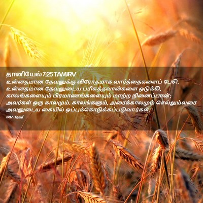 Picture 02 - தானியேல் 7:25 TAMIRV - உன்னதமான - Bible Verse Picture