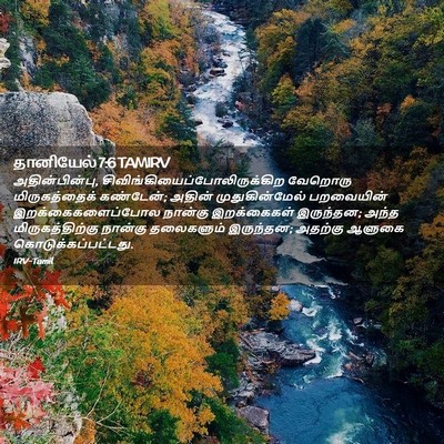 Picture 02 - தானியேல் 7:6 TAMIRV - அதின்பின்பு, - Bible Verse Picture