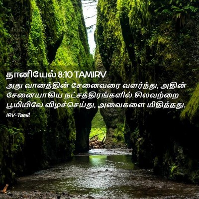 Picture 02 - தானியேல் 8:10 TAMIRV - அது வானத்தின் - Bible Verse Picture