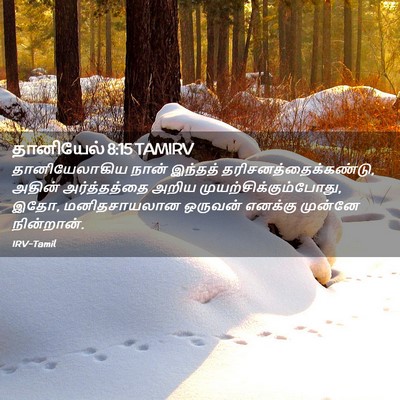 Picture 02 - தானியேல் 8:15 TAMIRV - தானியேலாகிய நான் - Bible Verse Picture