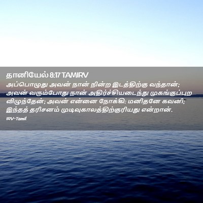 Picture 02 - தானியேல் 8:17 TAMIRV - அப்பொழுது அவன் - Bible Verse Picture
