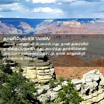 Picture 02 - தானியேல் 8:18 TAMIRV - அவன் என்னுடன் - Bible Verse Picture