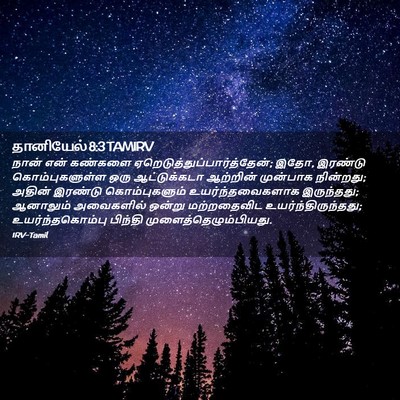 Picture 02 - தானியேல் 8:3 TAMIRV - நான் என் கண்களை - Bible Verse Picture