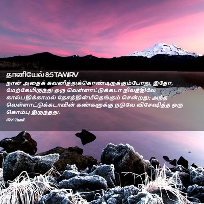 Picture 02 - தானியேல் 8:5 TAMIRV - நான் அதைக் - Bible Verse Picture