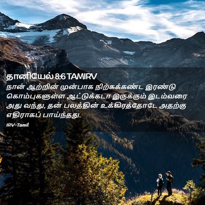 Picture 02 - தானியேல் 8:6 TAMIRV - நான் ஆற்றின் - Bible Verse Picture