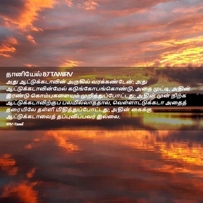 Picture 02 - தானியேல் 8:7 TAMIRV - அது - Bible Verse Picture