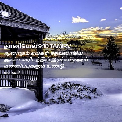 Picture 02 - தானியேல் 9:10 TAMIRV - ஆனாலும் எங்கள் - Bible Verse Picture