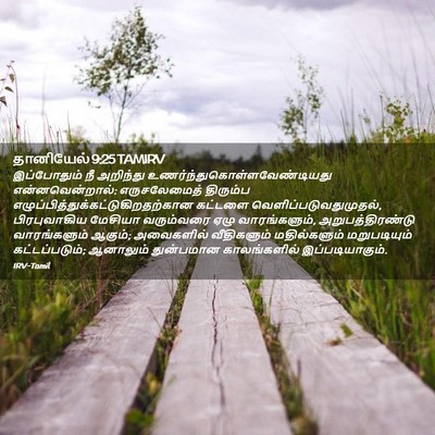 Picture 02 - தானியேல் 9:25 TAMIRV - இப்போதும் நீ - Bible Verse Picture