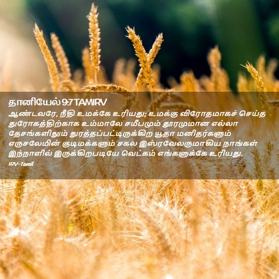 Picture 02 - தானியேல் 9:7 TAMIRV - ஆண்டவரே, நீதி - Bible Verse Picture