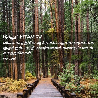 Picture 02 - தீத்து 1:14 TAMIRV - விசுவாசத்திலே - Bible Verse Picture