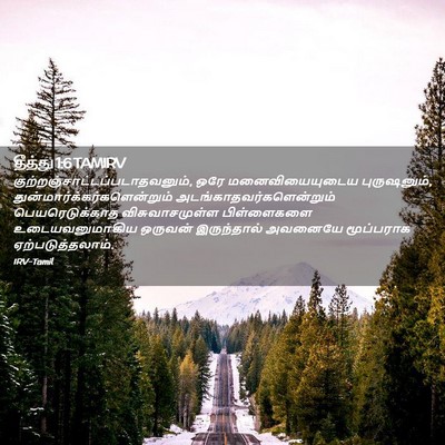 Picture 02 - தீத்து 1:6 TAMIRV -  - Bible Verse Picture