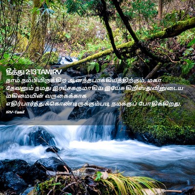 Picture 02 - தீத்து 2:13 TAMIRV - நாம் - Bible Verse Picture