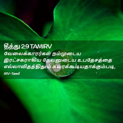 Picture 02 - தீத்து 2:9 TAMIRV - வேலைக்காரர்கள் - Bible Verse Picture