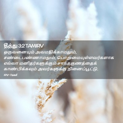 Picture 02 - தீத்து 3:2 TAMIRV - ஒருவனையும் - Bible Verse Picture