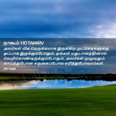 Picture 02 - நாகூம் 1:10 TAMIRV - அவர்கள் மிக - Bible Verse Picture