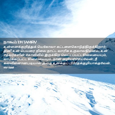 Picture 02 - நாகூம் 1:14 TAMIRV -  - Bible Verse Picture