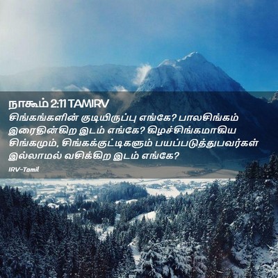 Picture 02 - நாகூம் 2:11 TAMIRV - சிங்கங்களின் - Bible Verse Picture