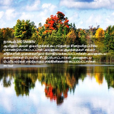 Picture 02 - நாகூம் 3:10 TAMIRV - ஆயினும் அவள் - Bible Verse Picture