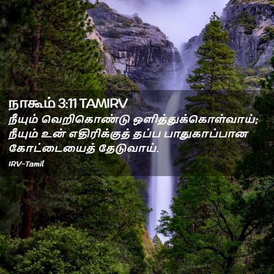 Picture 02 - நாகூம் 3:11 TAMIRV - நீயும் வெறிகொண்டு - Bible Verse Picture