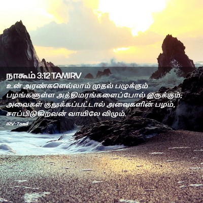 Picture 02 - நாகூம் 3:12 TAMIRV - உன் அரண்களெல்லாம் - Bible Verse Picture