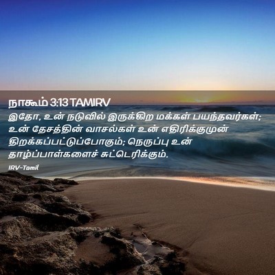 Picture 02 - நாகூம் 3:13 TAMIRV - இதோ, உன் நடுவில் - Bible Verse Picture