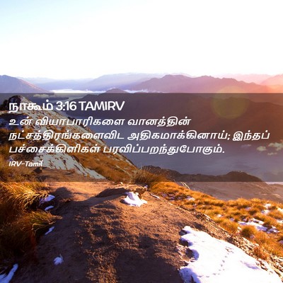 Picture 02 - நாகூம் 3:16 TAMIRV - உன் வியாபாரிகளை - Bible Verse Picture