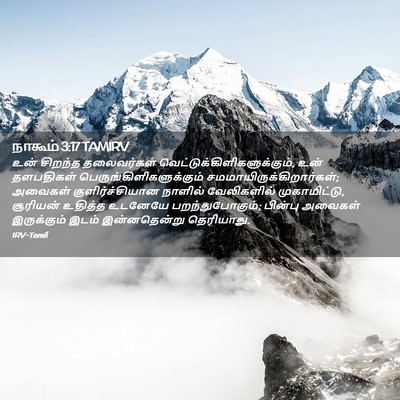 Picture 02 - நாகூம் 3:17 TAMIRV - உன் சிறந்த - Bible Verse Picture