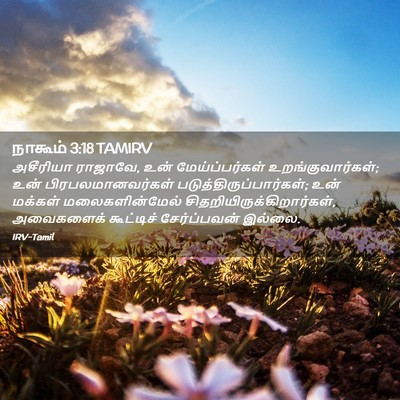 Picture 02 - நாகூம் 3:18 TAMIRV - அசீரியா ராஜாவே, - Bible Verse Picture